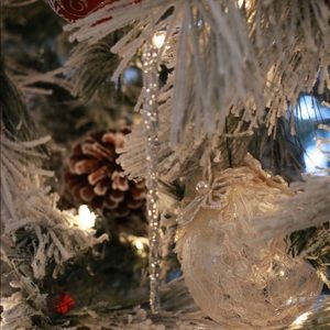 Meet your Posher, Janine